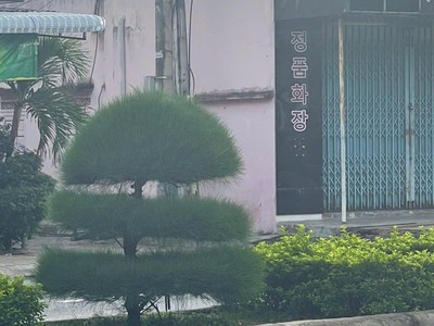 Nhà đẹp - giá tốt - chính chủ cần bán nhanh căn nhà 3 mặt tiền tại huyện ninh sơn tỉnh ninh thuận 0