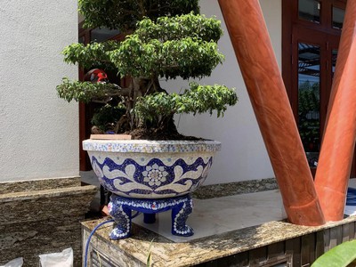 Chậu hoa dán miễng sành - chậu khảm sành sứ - nghệ nhân dán miễng sành sứ ,khảm miễng , chậu lớn , 1