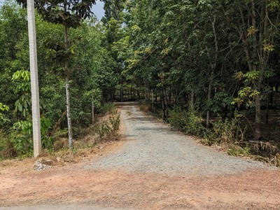Cần bán 1000m2 đất ngay tại Châu Thành - Tây Ninh, đất cách nhựa chỉ 200m giá 215tr 1