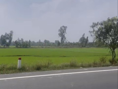 Vị Thuỷ Hậu Giang 0