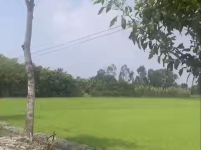 Vị Thuỷ Hậu Giang 2