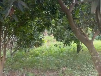 Đất chính chủ - giá tốt - vị trí đẹp tại khu vôi, thị trấn ba hàng đồi, huyện lạc thuỷ, hoà bình 1