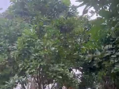 Đất chính chủ - giá tốt - vị trí đẹp tại khu vôi, thị trấn ba hàng đồi, huyện lạc thuỷ, hoà bình 2