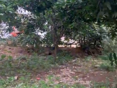 Đất chính chủ - giá tốt - vị trí đẹp tại khu vôi, thị trấn ba hàng đồi, huyện lạc thuỷ, hoà bình 4