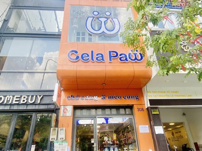 Cho thuê nhà 308 Phan Xích Long, Phường 7, Quận Phú Nhuận. 5 Tầng 4x16  320m2 chỉ 65tr 2