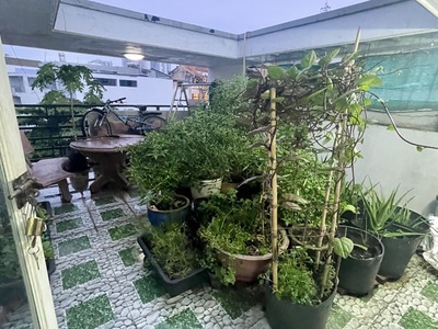 Bán nhà đường số 33, phường 10, quận 6. dt 75m2 x 4 tầng  4 x 19 . giá 8.45 tỷ tl. 4