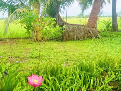 Đất Vườn Đồng Nai Nghỉ Dưỡng 1500m2 chỉ 350r, Sổ Hồng chuẩn pháp lý 2