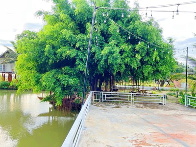 Đất Vườn Đồng Nai Nghỉ Dưỡng 1500m2 chỉ 350r, Sổ Hồng chuẩn pháp lý 3