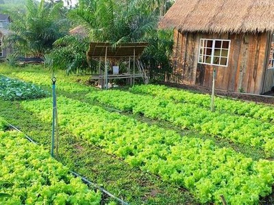 Đất Vườn Đồng Nai Nghỉ Dưỡng 1500m2 chỉ 350r, Sổ Hồng chuẩn pháp lý 6