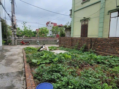 Bán 145m2 đất thổ cư đông dầu, dục tú, đông anh, hà nội 2