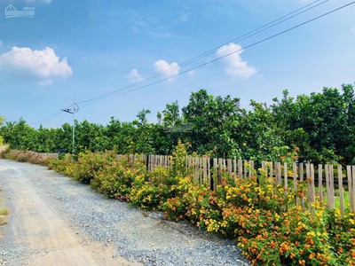 Sở hữu đất vườn gần sân bay Long Thànhh 1000m2 giá rẻ, cơ hội có 1-0-2 3