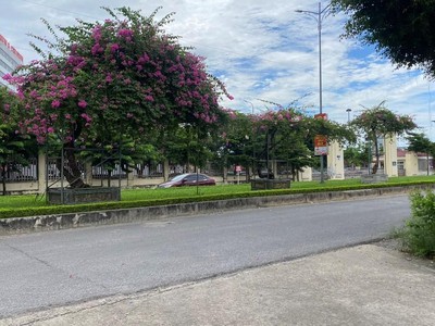 Bán đất lê thái tổ  , phố lê lợi - nam thành  8 x 16m 3