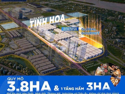 Quỹ căn vinhome cổ loa global gate vị trí đẹp và giá tốt nhất thị trường 2