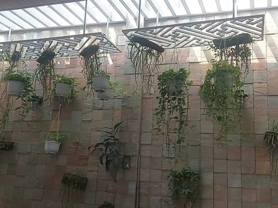 Chính chủ bán nhà đường phạm thế hiển, p7, q8, căn góc 2 mặt tiền, dt 112,7m2, có gara, sân vườn 2