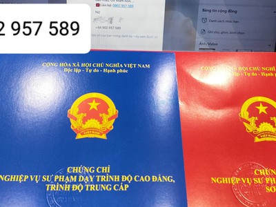 Chứng chỉ sư phạm hệ trung cấp cao đẳng 0