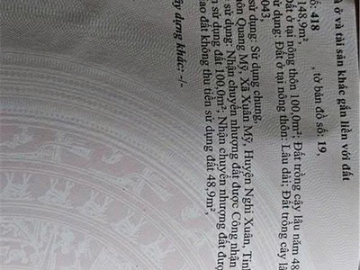 Đất đẹp   giá tốt - chính chủ cần bán nhanh lô đất tại xã xuân mỹ, huyện nghi xuân, hà tĩnh 1