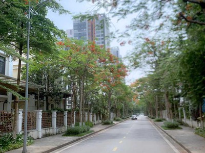 Bán nhà biệt thự, liền kề tại Dự án Khu đô thị Trung Yên, Cầu Giấy, Hà Nội diện tích 75m2 giá 36 T 0