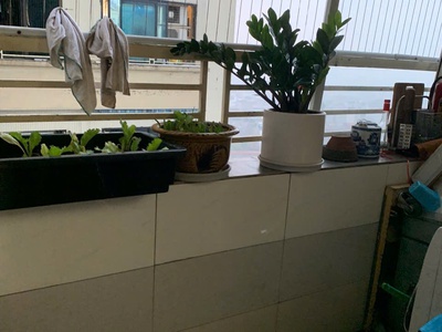 Bán căn hộ khu đôthị đại thanh tòa ct8, tầng trung, 42m2, 1 phòng ngủ, giá 1.5x tỷ,hđmb có thương 3