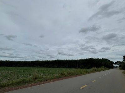 Càn tiền cho con du học - bán gấp đất mặt tiền huyện bàu bàng gần 4ha 2