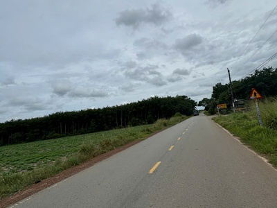 Càn tiền cho con du học - bán gấp đất mặt tiền huyện bàu bàng gần 4ha 3