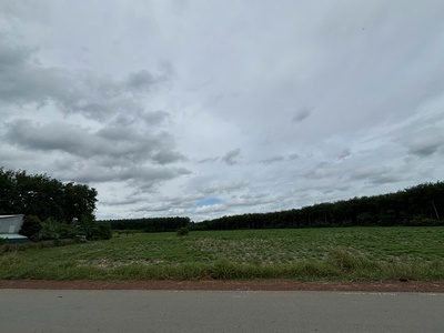 Càn tiền cho con du học - bán gấp đất mặt tiền huyện bàu bàng gần 4ha 0