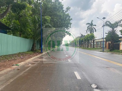 Bán 4.000m2 đất trong khu công nghiệp Hòa Bình, Thủ Thừa, Long An 1