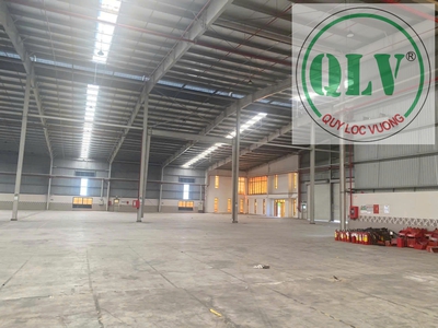 Cho thuê nhà xưởng mới xây DT 24.000m2, 2 xưởng 8.000m2 KCN Thuận Đạo mở rộng.Long An. 1