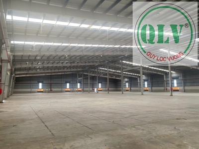 Cho thuê nhà xưởng mới xây DT 24.000m2, 2 xưởng 8.000m2 KCN Thuận Đạo mở rộng.Long An. 2