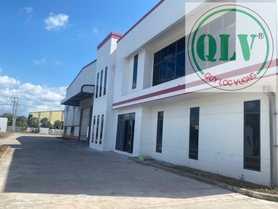 Cho thuê nhà xưởng mới xây DT 24.000m2, 2 xưởng 8.000m2 KCN Thuận Đạo mở rộng.Long An. 3