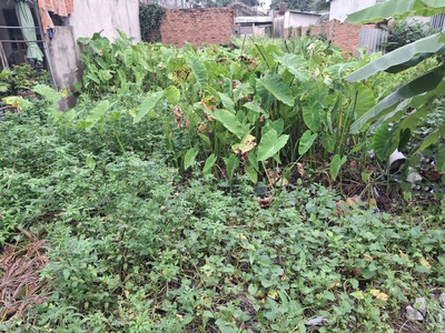 Giảm 200tr đất vuông đẹp thạnh xuân 52 q12, 68m2, 4x17m, đ.4m chỉ 2.x tỷ 0