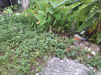 Giảm 200tr đất vuông đẹp thạnh xuân 52 q12, 68m2, 4x17m, đ.4m chỉ 2.x tỷ 2