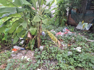 Giảm 200tr đất vuông đẹp thạnh xuân 52 q12, 68m2, 4x17m, đ.4m chỉ 2.x tỷ 3