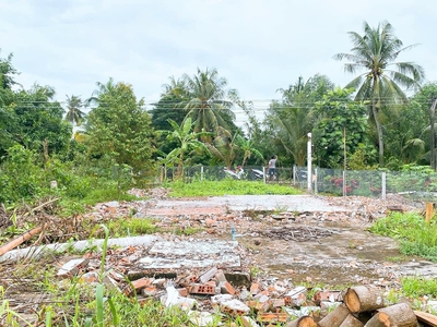 Vườn Sầu Riêng 1491m2, Cách Chợ Trường Long A khoảng 800m. Có 100m Thổ Cư 4