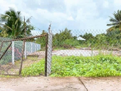 Vườn Sầu Riêng 1491m2, Cách Chợ Trường Long A khoảng 800m. Có 100m Thổ Cư 3