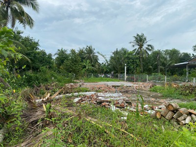 Vườn Sầu Riêng 1491m2, Cách Chợ Trường Long A khoảng 800m. Có 100m Thổ Cư 1