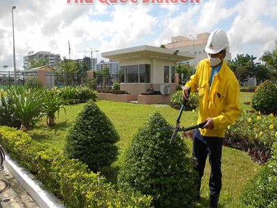 Công ty cây xanh chuyên cắt cỏ tỉa cành kv Đồng Nai, HCM 0