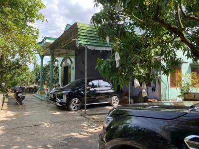 Bán 1 ha vườn trái cây, 3 mặt tiền, đuôi giáp suối, giá cực rẻ, chỉ 500tr/xào 0