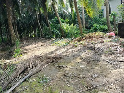 Chính chủ bán đất hai mặt tiền ấp tân điền - thành thới b - mỏ cày nam - bến tre 1