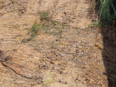 Bán đất thổ cư mặt tiền đường đt 744 , ngang 5 mét x dài 32.12 mét, có 100m2 thổ cư xây dựng, ngay 2