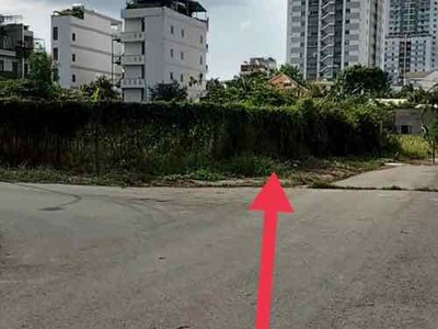 Mặt tiền đường d4 khu nhà cán bộ. phạm hữu lầu phú mỹ quận 7. 1446m2 đất đẹp ngang 42m. 61 tỷ 3