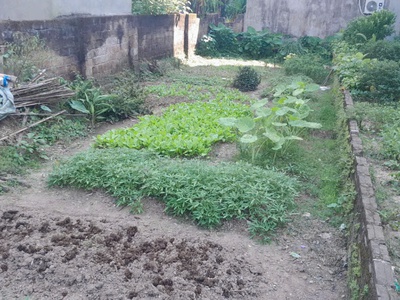 ..chính chủ cho thuê kho xưởng tại ngõ 773 đê nguyễn khoái, phường thanh trì, hoàng mai, hà nội. 1