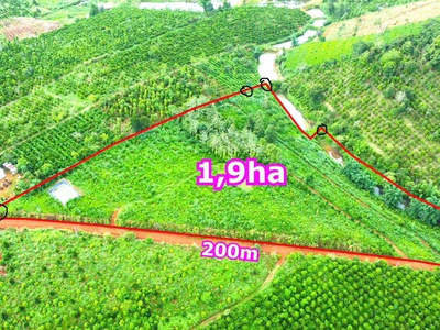 Chính chủ bán lô sầu riêng 1500m2 chỉ 220tr tại tp gia nghĩa, dak nông 0