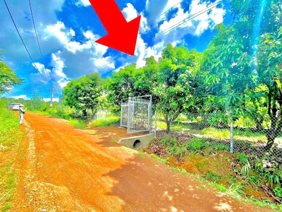 Mở bán đất nền Thống Nhất, Đồng Nai chỉ từ 300 triệu đầu tư an toàn 2