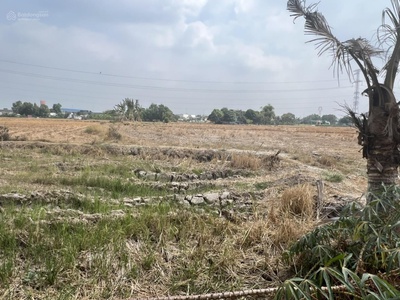 Bán đất tân bửu, bến lức, long an 20.335m2 giá 3,5tr/m cách đường nguyễn hữu trí 300m 3