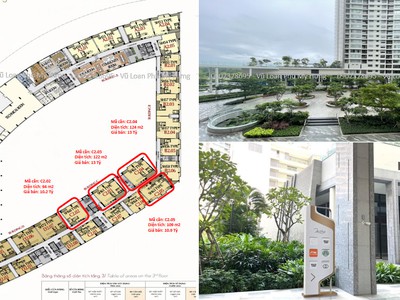 Chủ đầu tư phú mỹ hưng mở bán giỏ hàng 20 căn cuối cùng dự án m8- the peak midtown vừa ở vừa kinh 0