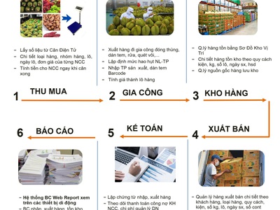 Quản lý thu mua, kinh doanh nông sản kết nối cân điện tử, mã vạch, camera 0