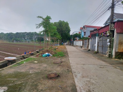 Bán đất đẹp tặng kèm nhà - giá tốt - vị trí đắc địa tại xã tráng việt, huyện mê linh, tphn 0