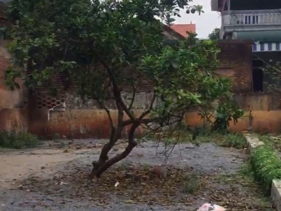 Bán cắt lỗ lô đất đẹp, giá rẻ tại bột xuyên, mỹ đức - mua là thắng 1