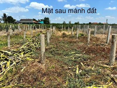Chính chủ chuyển nhượng lô đất chữ l 515m2, nở hậu tại chợ gạo, tiền giang, giá chỉ 600tr 1