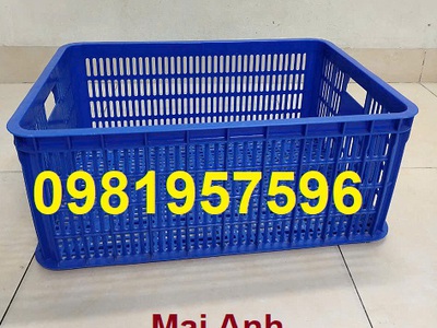 Rổ nhựa công nghiệp, mua sọt nhựa tại Hà Nội, sọt nhựa chữ nhật, sọt nhựa chở hàng 3